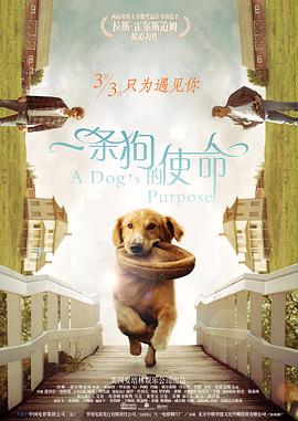 活动余行自拍